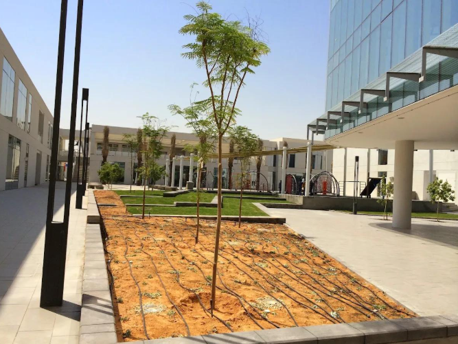رايات نجد للتشجير والاستدامة | التطوير الزراعي ومشاريع الري وتنمية الغطاء النباتي في السعودية