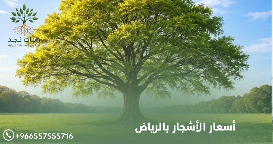 أسعار الأشجار في الرياض