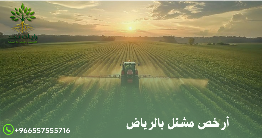 أفضل مشتل بأسعار رخيصة بالرياض